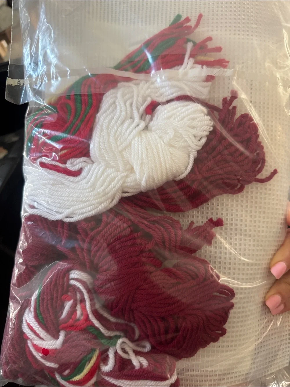 Red Poinsettia Holiday Plastic Canvas coaster needlepoint Kit